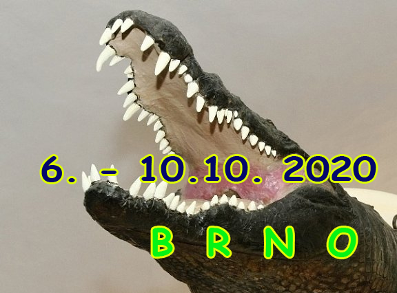 October 8 – 10, 2020 Brno