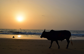 gokarna